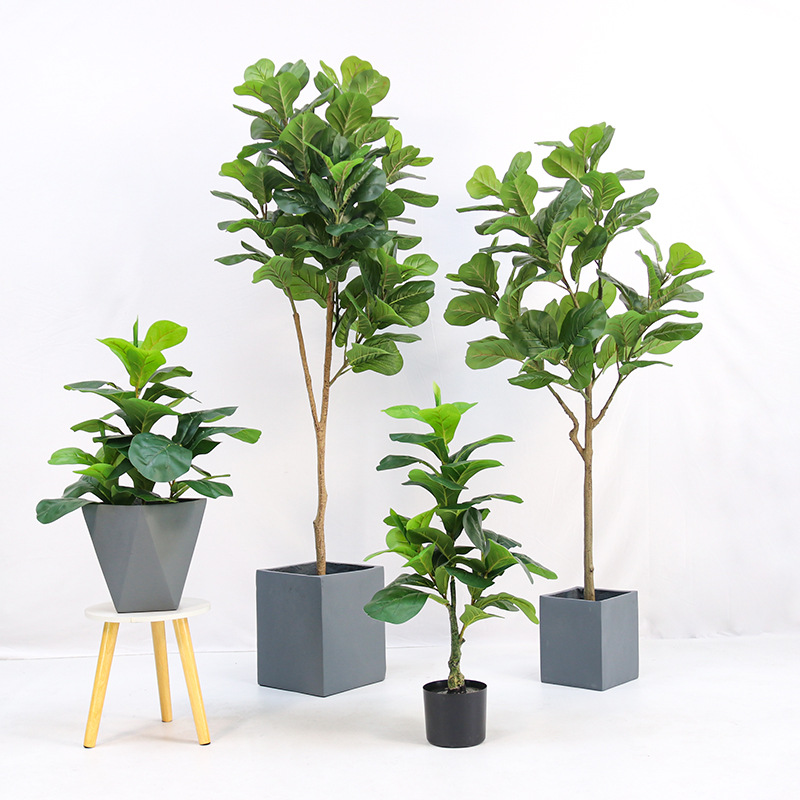 Искусственное пластиковое раст – обзор и цена Ficus Lyrata Tree