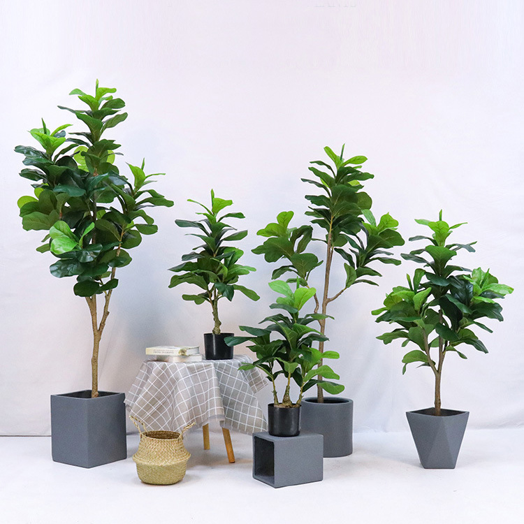 Искусственное пластиковое раст – обзор и цена Ficus Lyrata Tree